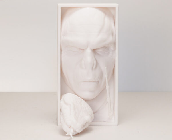 Voldemort Book Nook (Harry Potter) – podpórka do książek