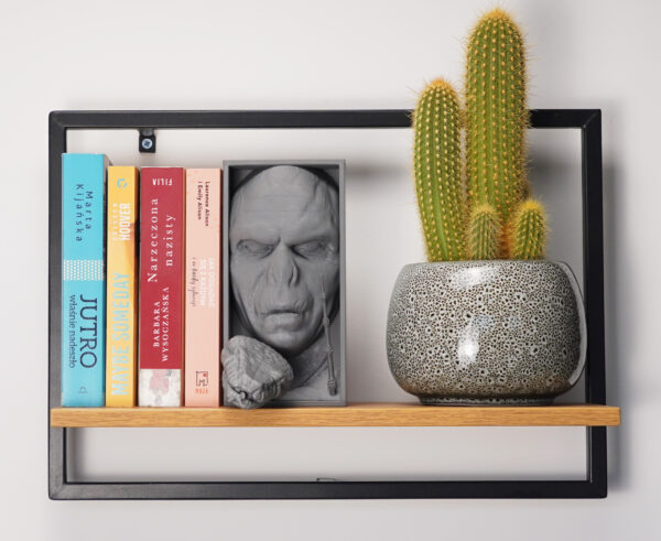 Voldemort Book Nook (Harry Potter) - podpórka do książek - obrazek 4